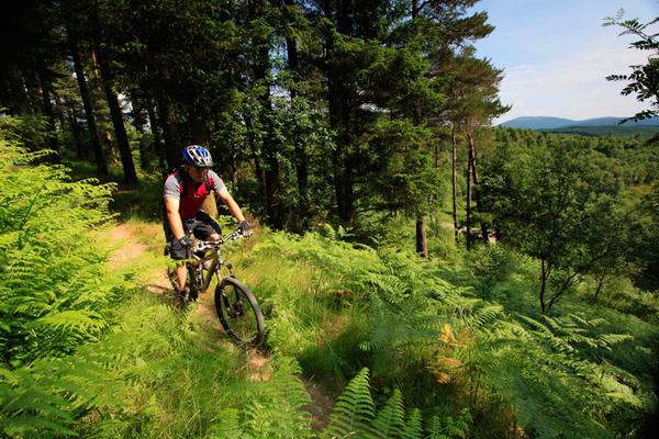 A mountain biker follows the red-graded Phoenix Trail at the 7stanes Mabie Mountain Biking Centre, Mabie Forest, near Dumfries