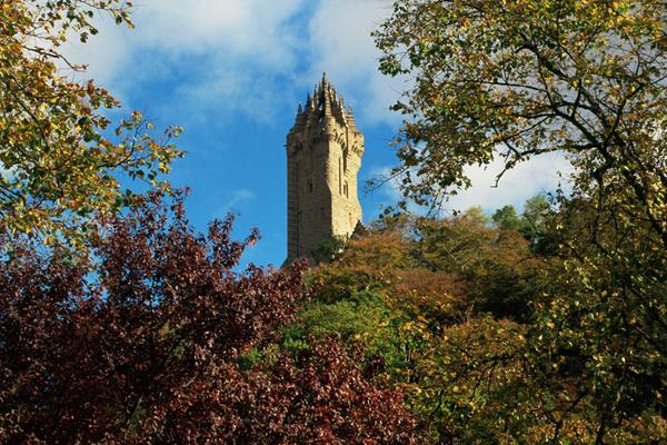 A view through trees to the National Wallace Monument, Stirling